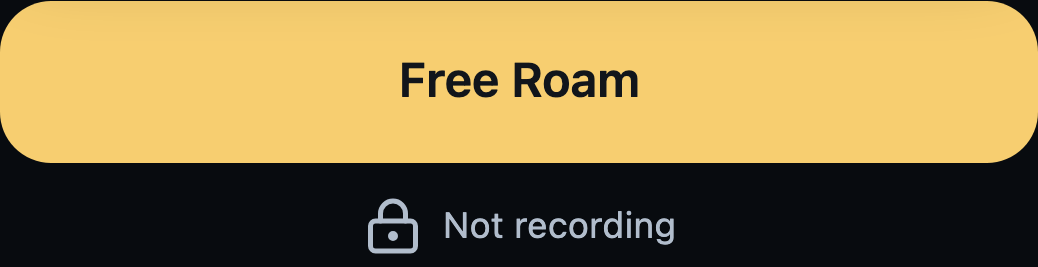 Free Roam design control. Not recording.
